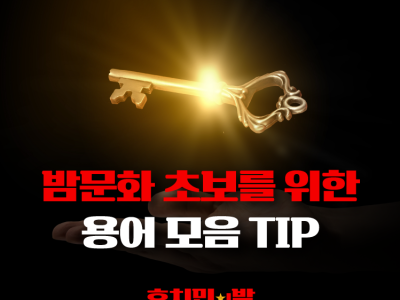 밤문화 초보를 위한 용어 모음 Tip